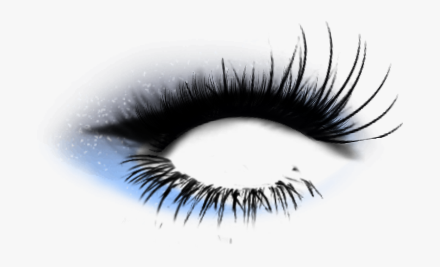 Makeup Eyeliner Eyelashes Bigeyelashes Wyeshadow Eyelash Extensions Free Transparent Clipart Clipartkey