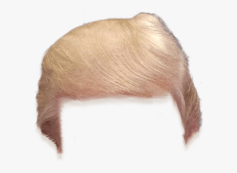 Thumb Image - Trumps Hair Png, Transparent Clipart