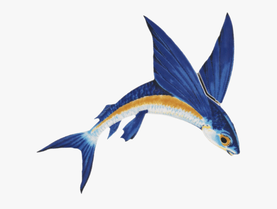 Flying Fish Png 4 » Png Image - Flying Fish Png, Transparent Clipart