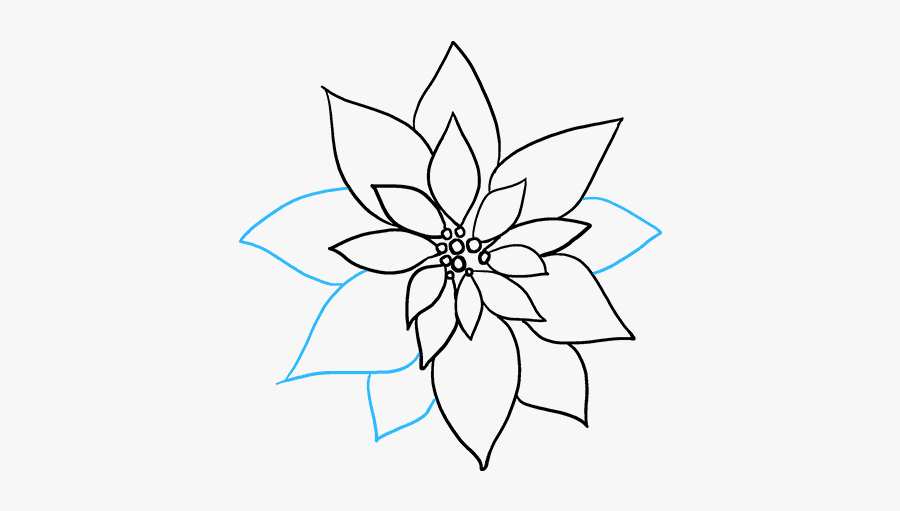 How To Draw Poinsettia - Line Art, Transparent Clipart