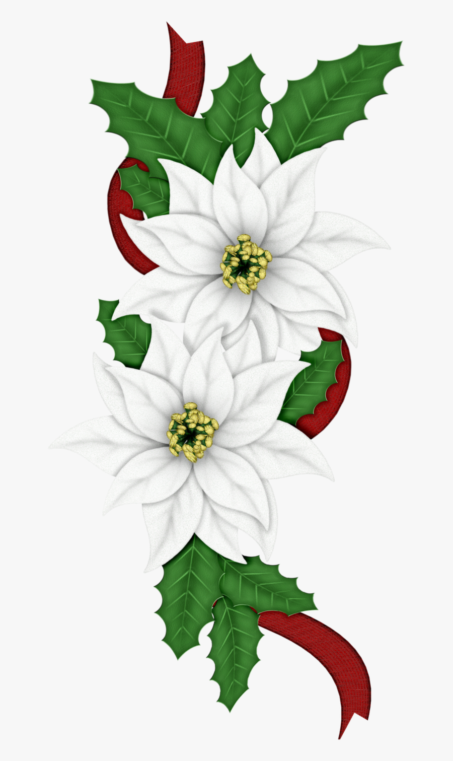 66300 - Edelweiss Png Clipart, Transparent Clipart