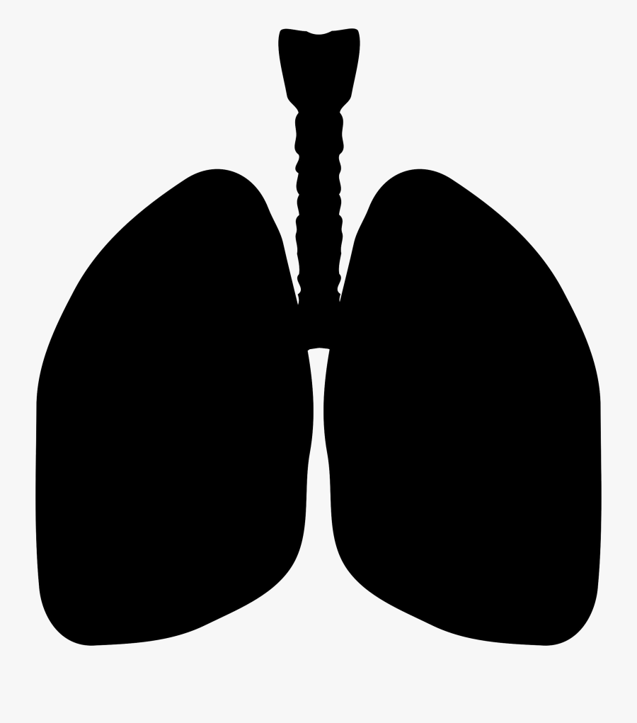 Lungs Silhouette - Lungs Clipart Silhouette, Transparent Clipart