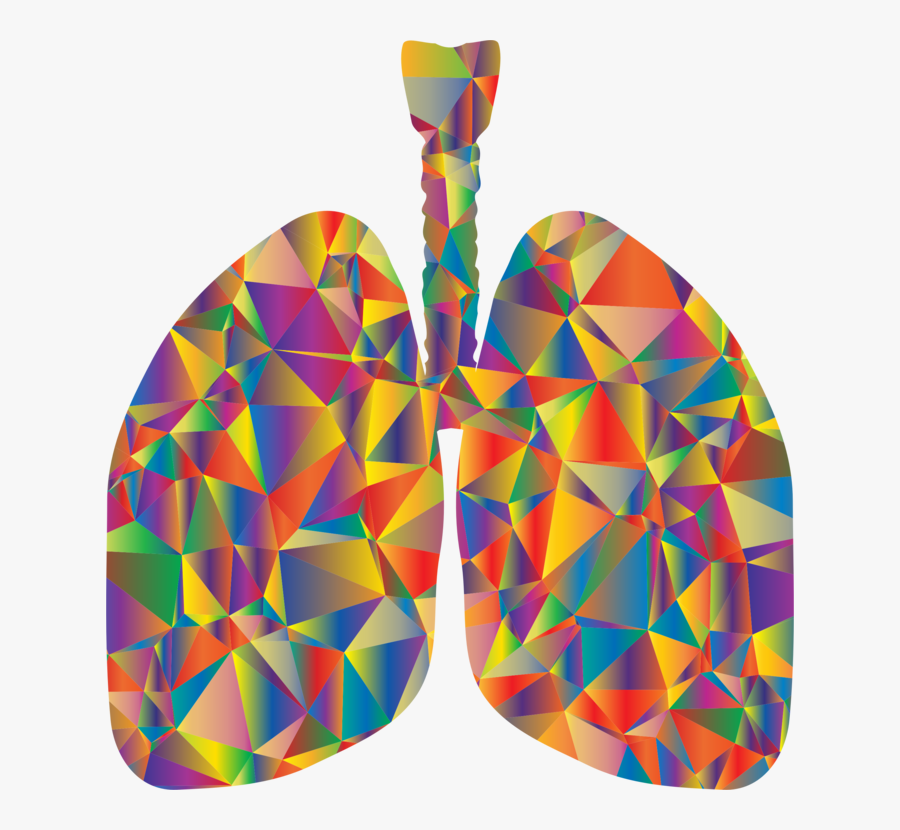 System - Lung Clip Art, Transparent Clipart