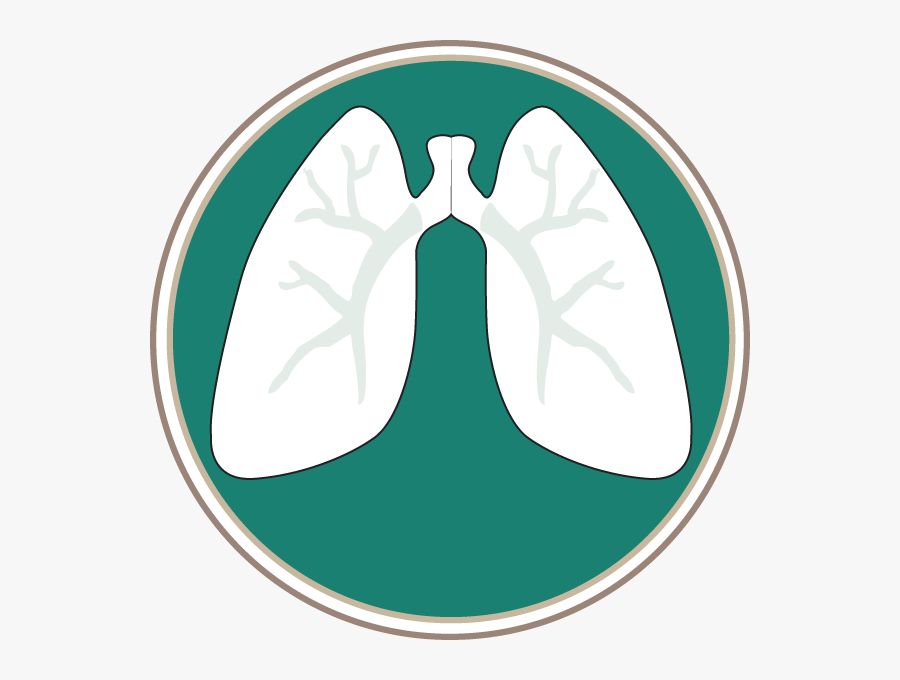 Southern Lung - Lung Symbol, Transparent Clipart