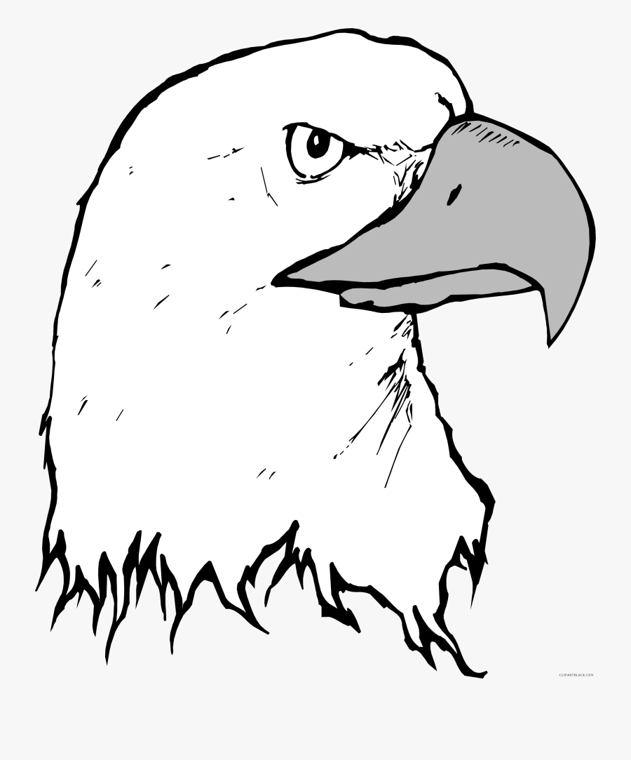 Eagle Animal Free Black White Clipart Images Clipartblack - صورة راس نسر, Transparent Clipart