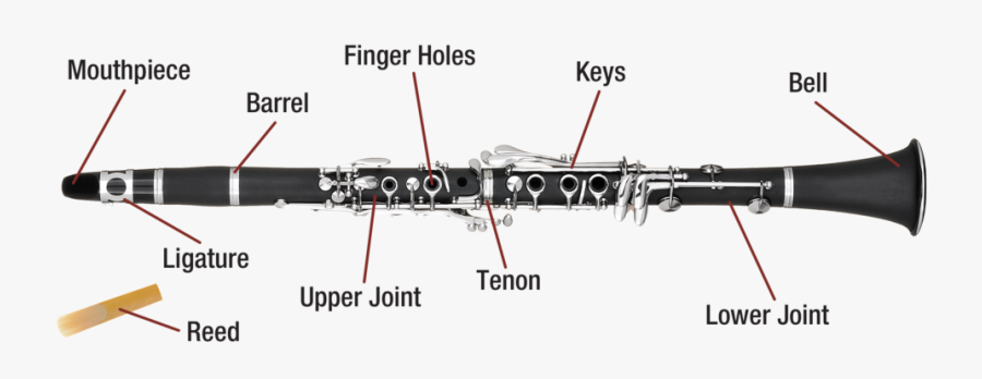 Clip Art Clarinet Keys Diagram - Parts Of A Clarinet With Diagram, Transparent Clipart