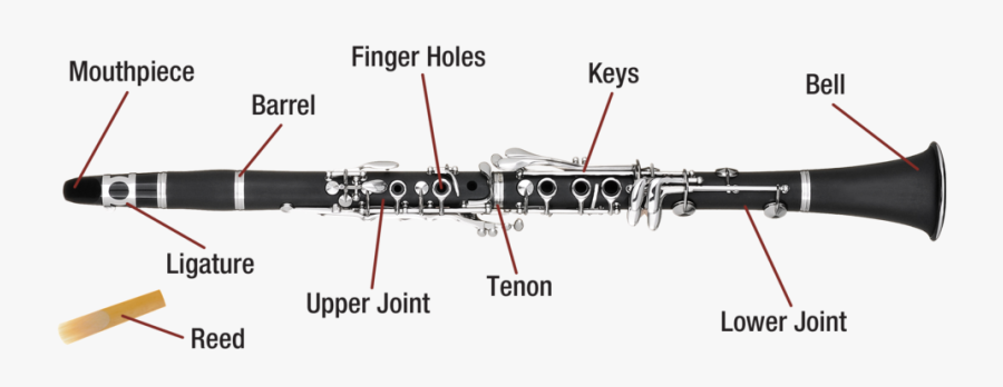 Clip Art Clarinet Keys Diagram - Parts Of A Clarinet With Diagram ...