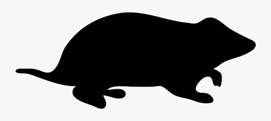 Hamster Contour - Hamster Silhouette, Transparent Clipart