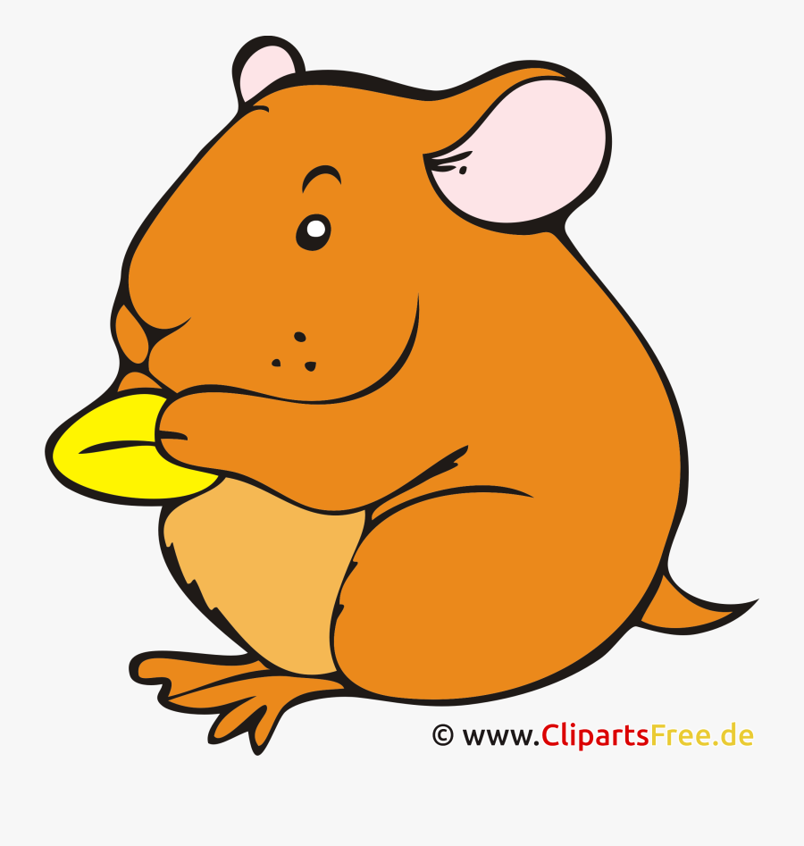 Hamster Clipart, Bild, Cartoon Kostenlos - Hamster Food Clipart Png, Transparent Clipart