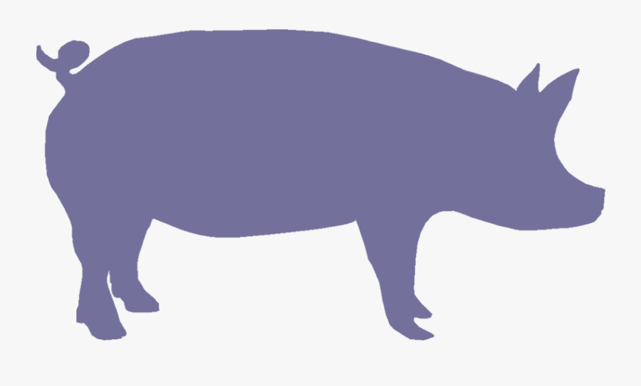 Free Images Download Clip - Silhouette Pig Clipart, Transparent Clipart