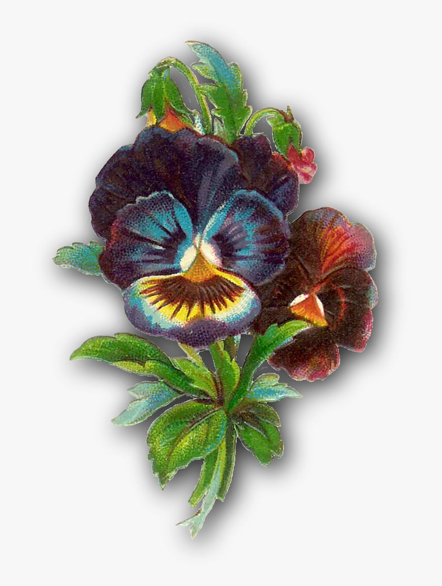 Victorian Flowers Clip Art, Transparent Clipart
