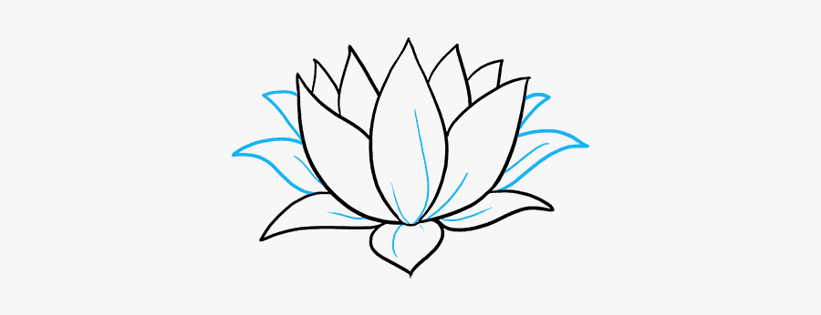Clip Art How To Draw A - Lily Pad Flower Drawing, Transparent Clipart