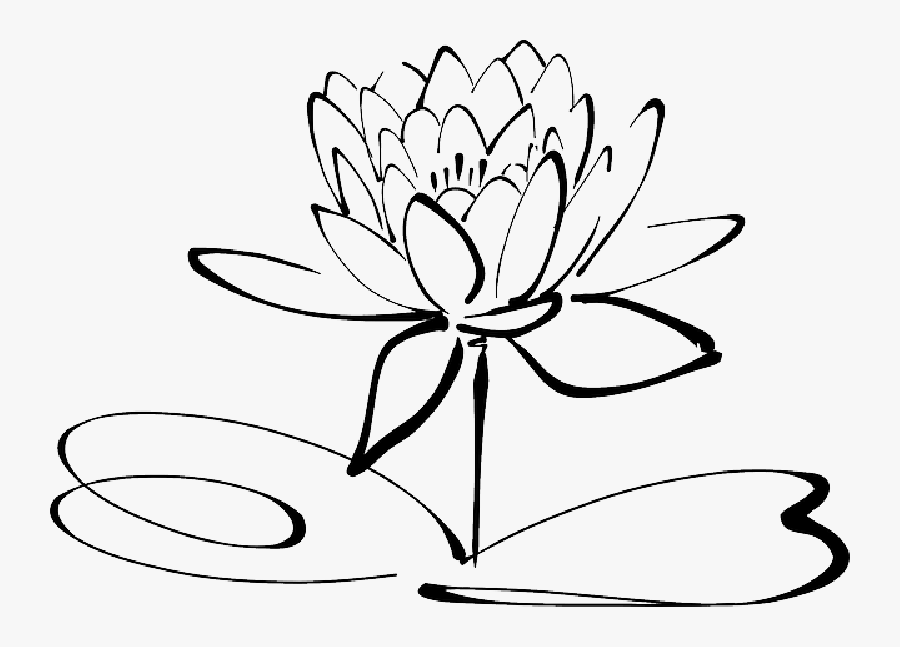Lotus Flowers Clipart Black And White , Png - Lotus Flower Clipart Black And White, Transparent Clipart