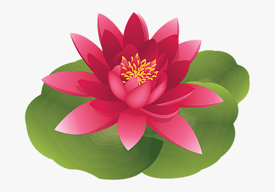 Pink Water Lily Clip Art, Transparent Clipart