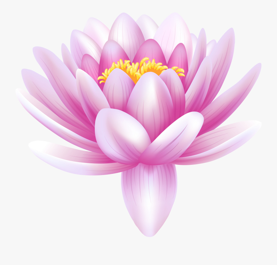 Water Lily Transparent Png Clip Art Image - Water Lily Clipart Png, Transparent Clipart