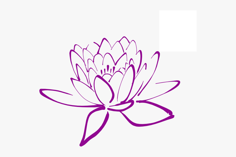 Magnolia Flower Clip Art - Lotus Flower Drawing Png, Transparent Clipart