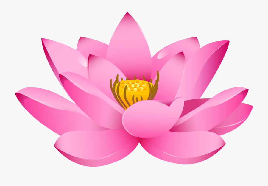 Lotus Flower Png, Transparent Clipart