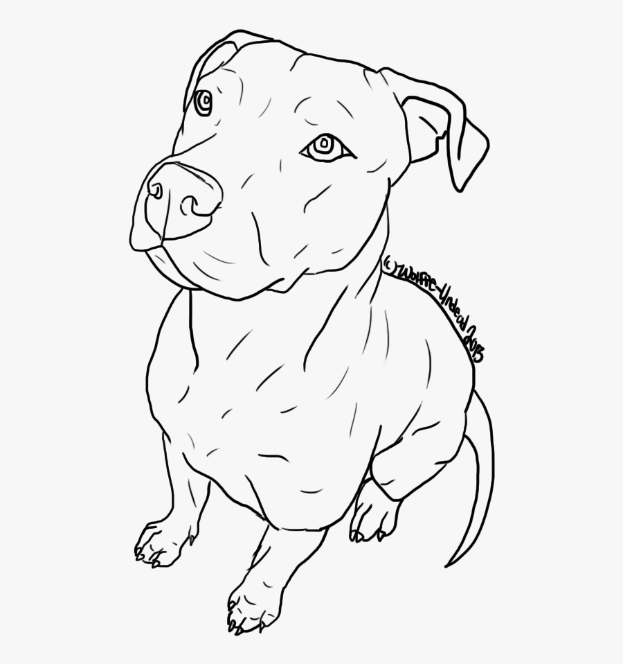 American Pit Bull Terrier Puppy Drawing Line Art - Draw Pit Bull Face, Transparent Clipart