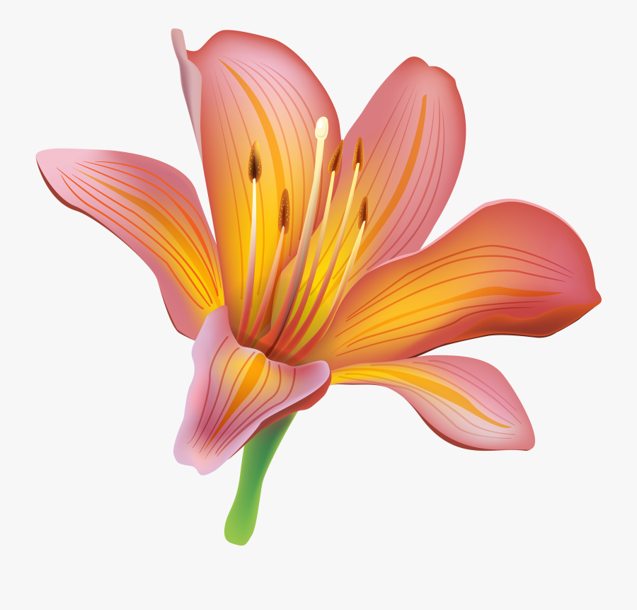 Flower Png Best Web - Lily Clipart, Transparent Clipart
