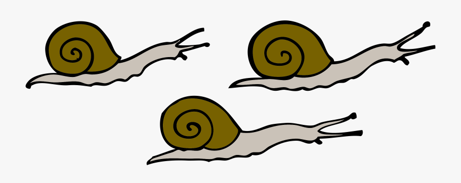 Movement, Snails, Moving, Slow, Shells, Slime, Land - Snails Clipart, Transparent Clipart