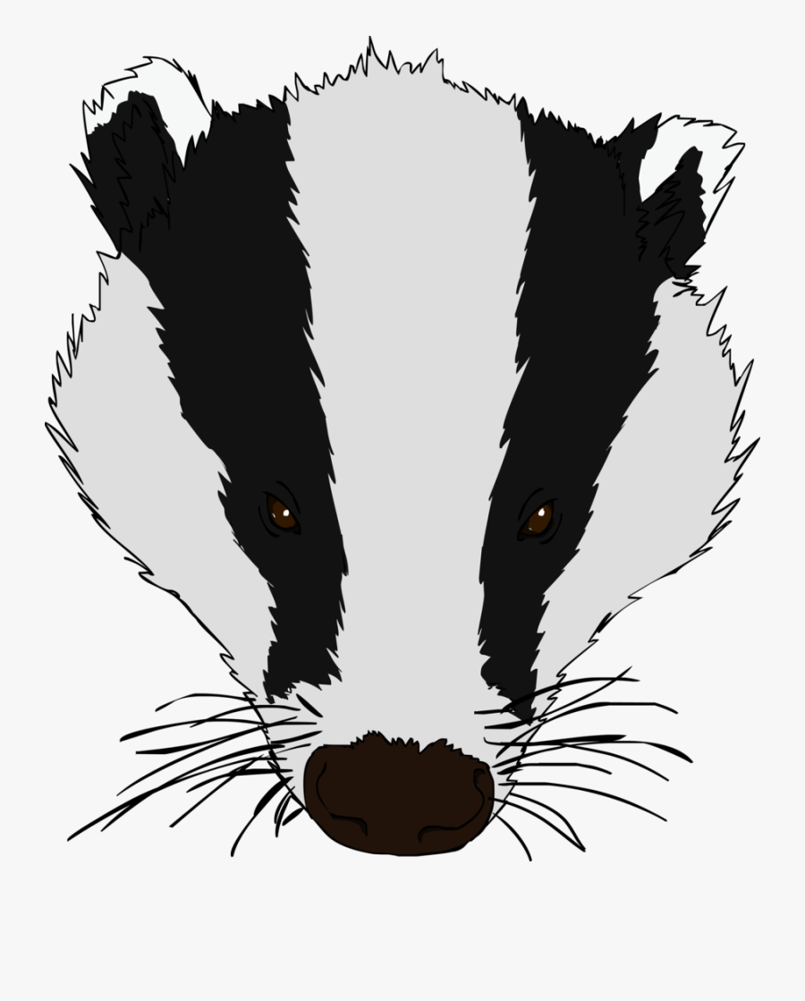 Badger Clipart Csgo - Honey Badger Face Drawing, Transparent Clipart