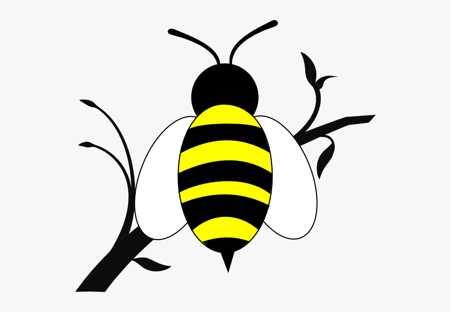 Honeybee Honey Bee Over Branch Clip Art At Vector Clip - Clipart Black And White Branch Of Tree, Transparent Clipart