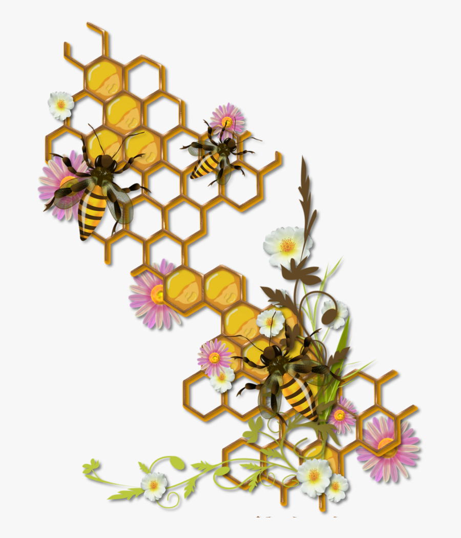 Bee And Honeycomb Clipart , Png Download - Honey Bee Honeycomb Drawing