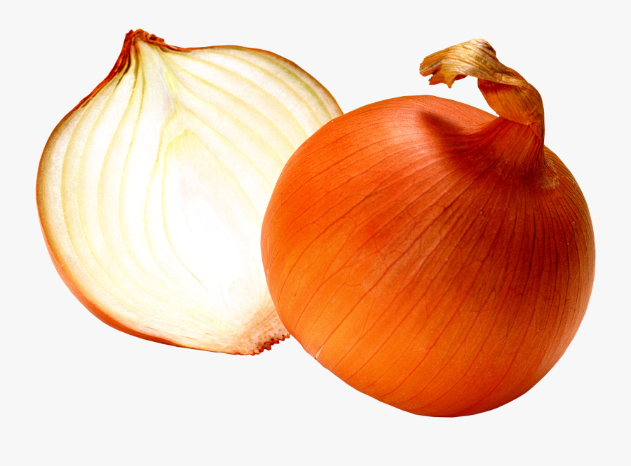 Open Png Stickpng - Onion Transparent, Transparent Clipart