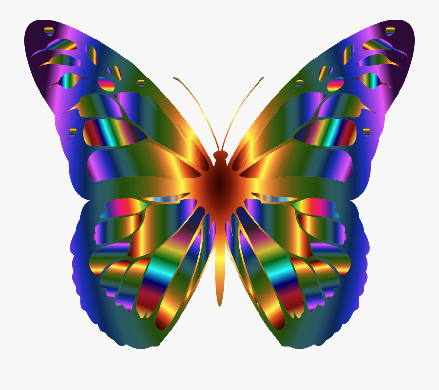 Beautiful Butterfly Clip Art , Free Transparent Clipart - ClipartKey