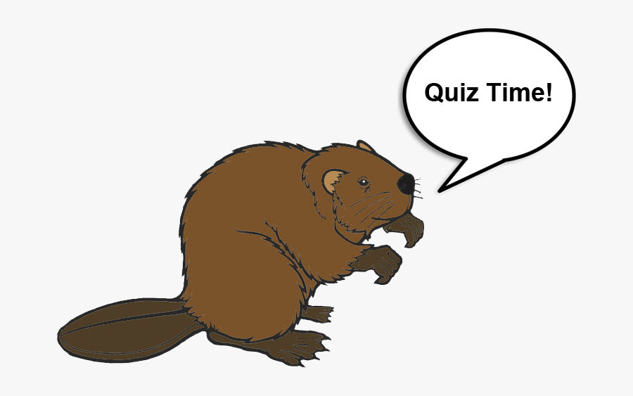 Punxsutawney Phil, Transparent Clipart