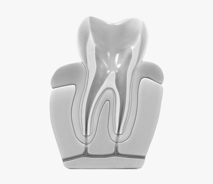 Root Canals - Endodoncia Limpieza, Transparent Clipart