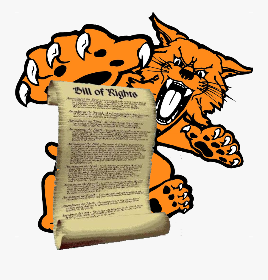 No 4th Amendment At The University Of Kentucky - Kentucky Wildcats, Transparent Clipart
