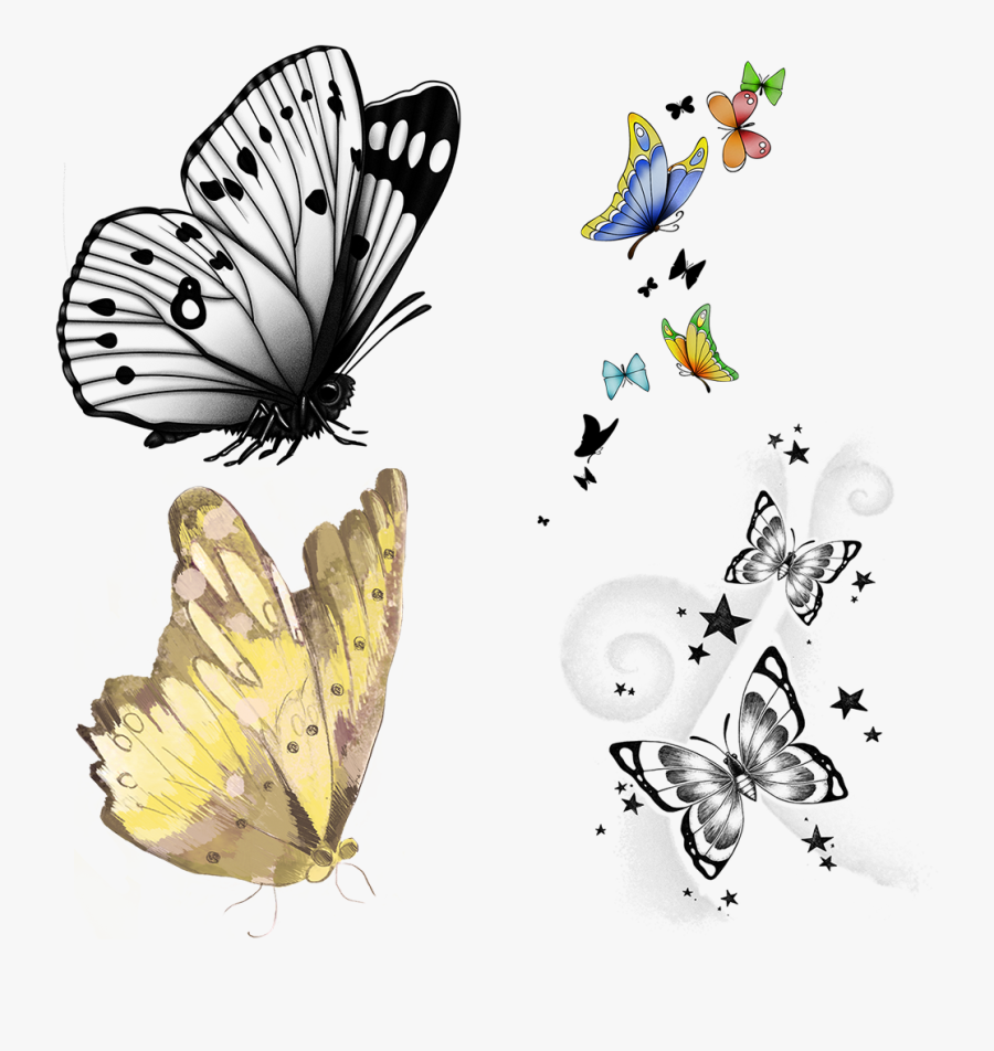 Use These Sample Clipart Items From The Butterfly Clip - Picsart Items, Transparent Clipart