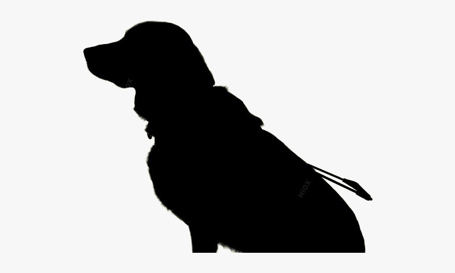 Pet Png Transparent Images - Dog Catches Something, Transparent Clipart
