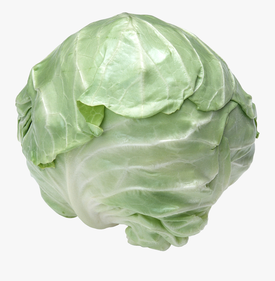 Cabbage Transparent, Transparent Clipart