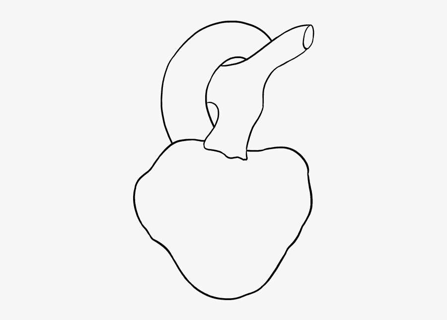 How To Draw Human Heart - Simple Real Heart Drawing, Transparent Clipart