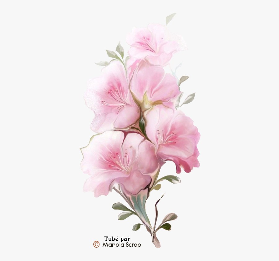 Tubes Fleurs Page Flowers - Happy Birthday Diane Flowers, Transparent Clipart