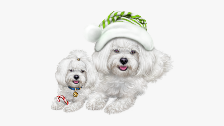 Jpg Freeuse Stock Chiens Dog Puppies Wallpapers - Christmas Clipart Cute Puppy, Transparent Clipart