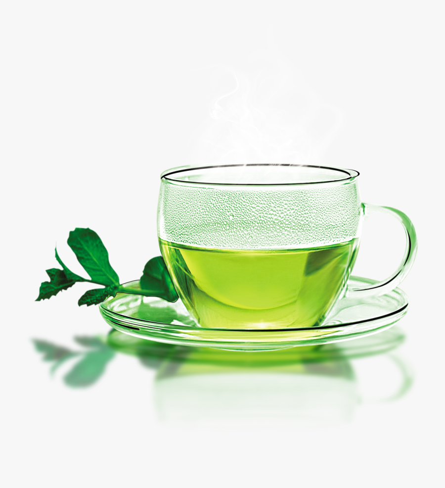 Green Tea Longjing Tea White Tea Flowering Tea - Cup Green Tea Hot, Transparent Clipart