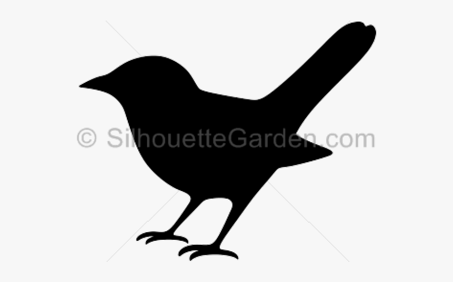 Nightingale Bird Silhouette, Transparent Clipart