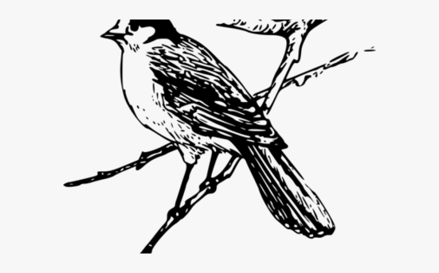 Nightingale Clipart Maya Bird - Clipart Maya Bird, Transparent Clipart