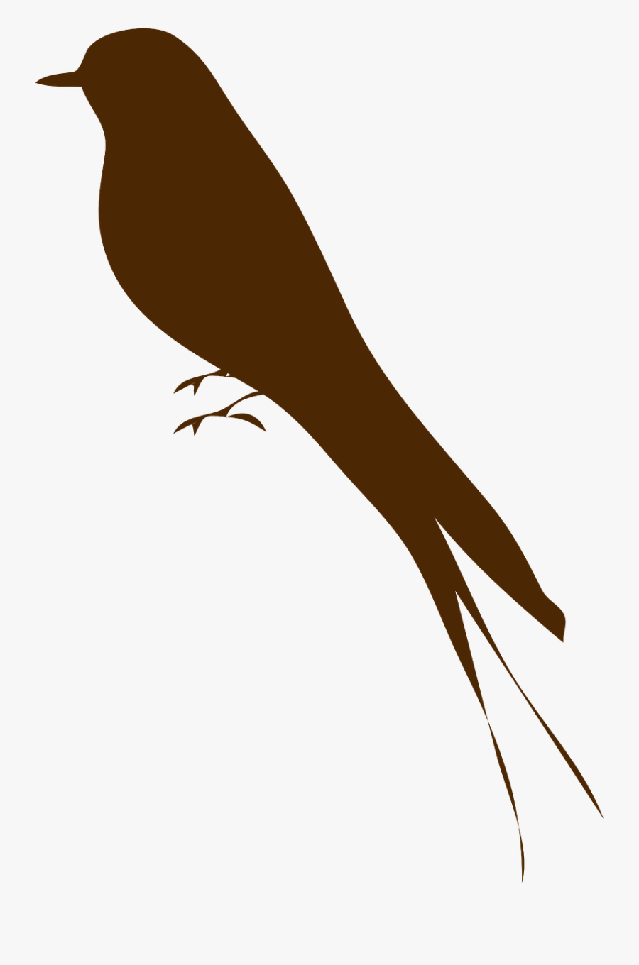 Nightingale Drawing Bird Landing Huge Freebie Download - Bird Silhouette Transparent, Transparent Clipart