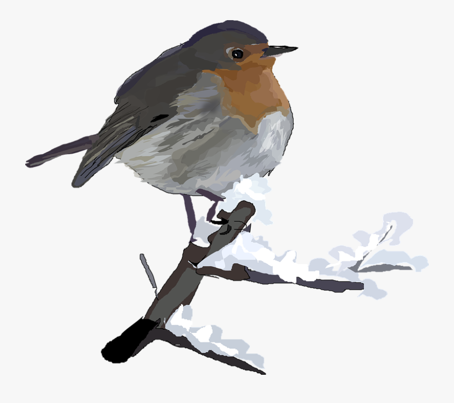 Snowy Birds Clip Art, Transparent Clipart