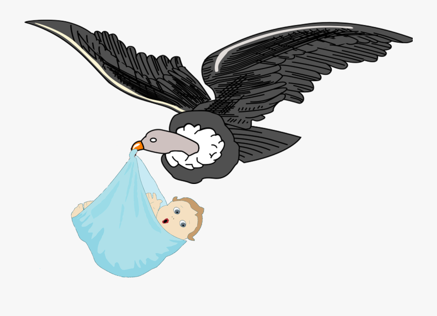 Andean Condor Clipart, Transparent Clipart