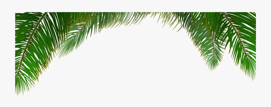 Clip Art Transparent Download Arecaceae Tree Euclidean - Palm Trees Background Png, Transparent Clipart