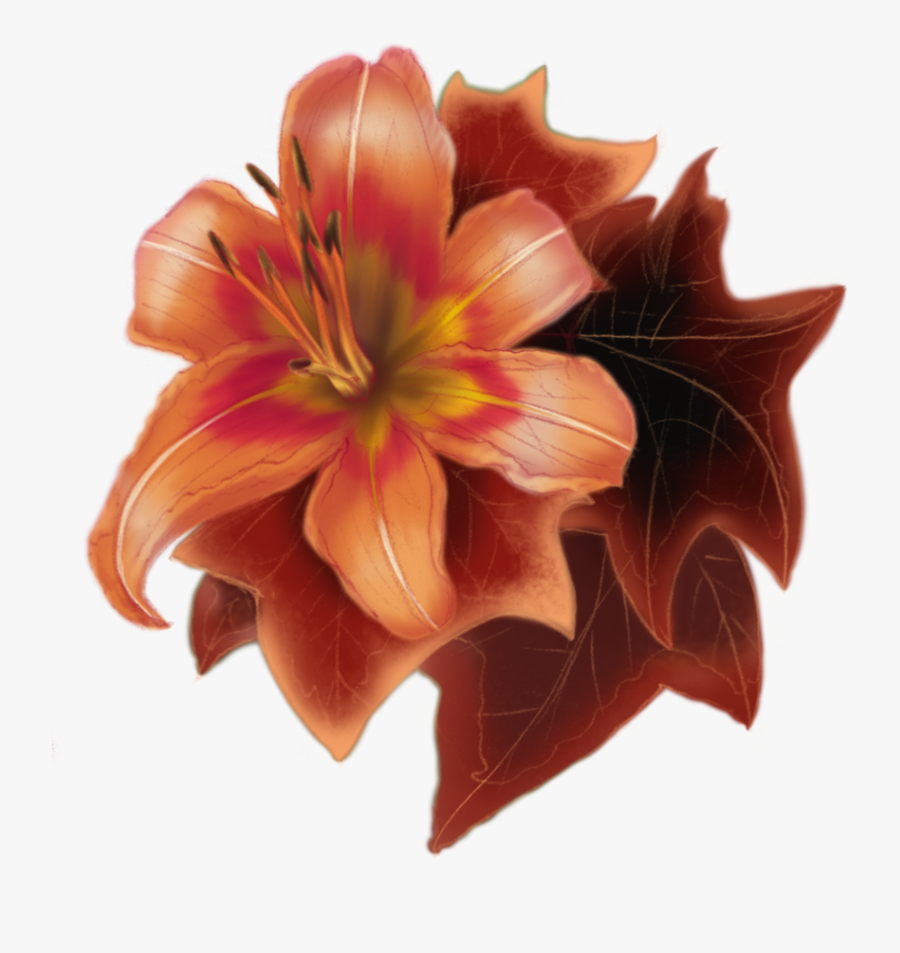 Transparent Daylily Clipart - Lily, Transparent Clipart