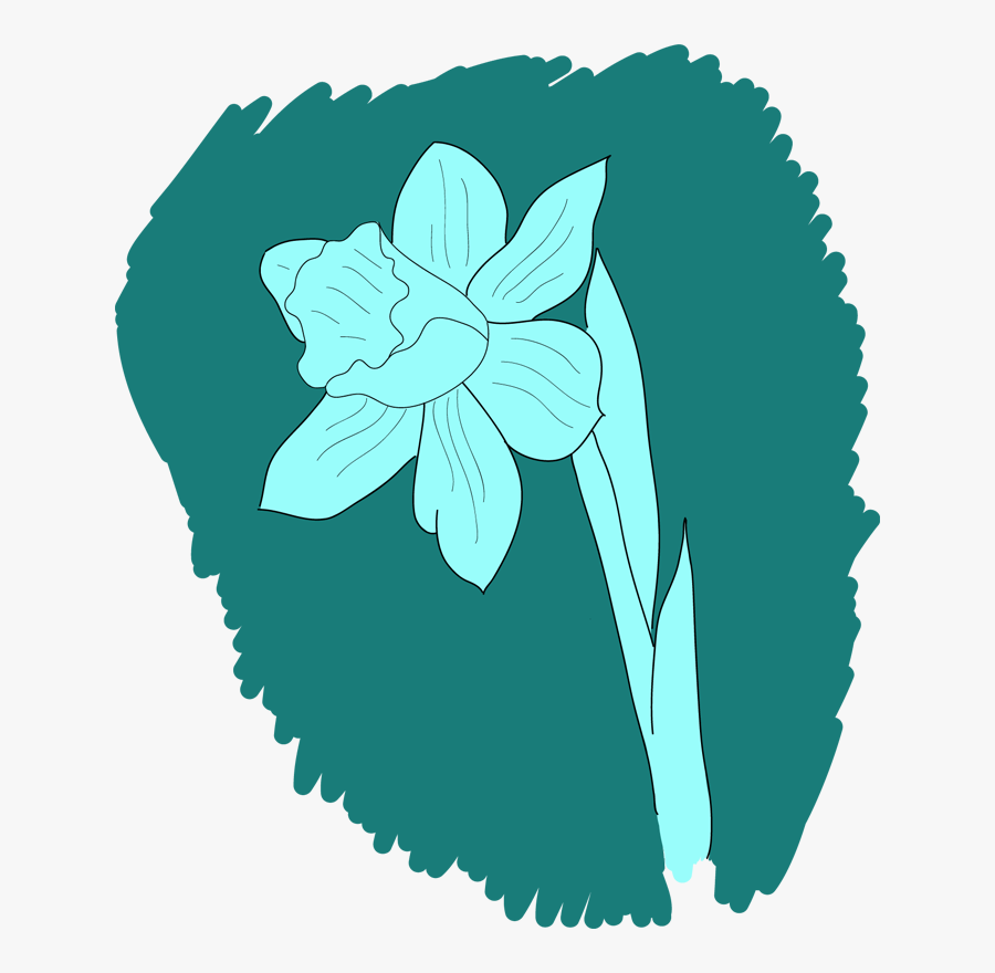 Daffodil Drawing - Lily, Transparent Clipart