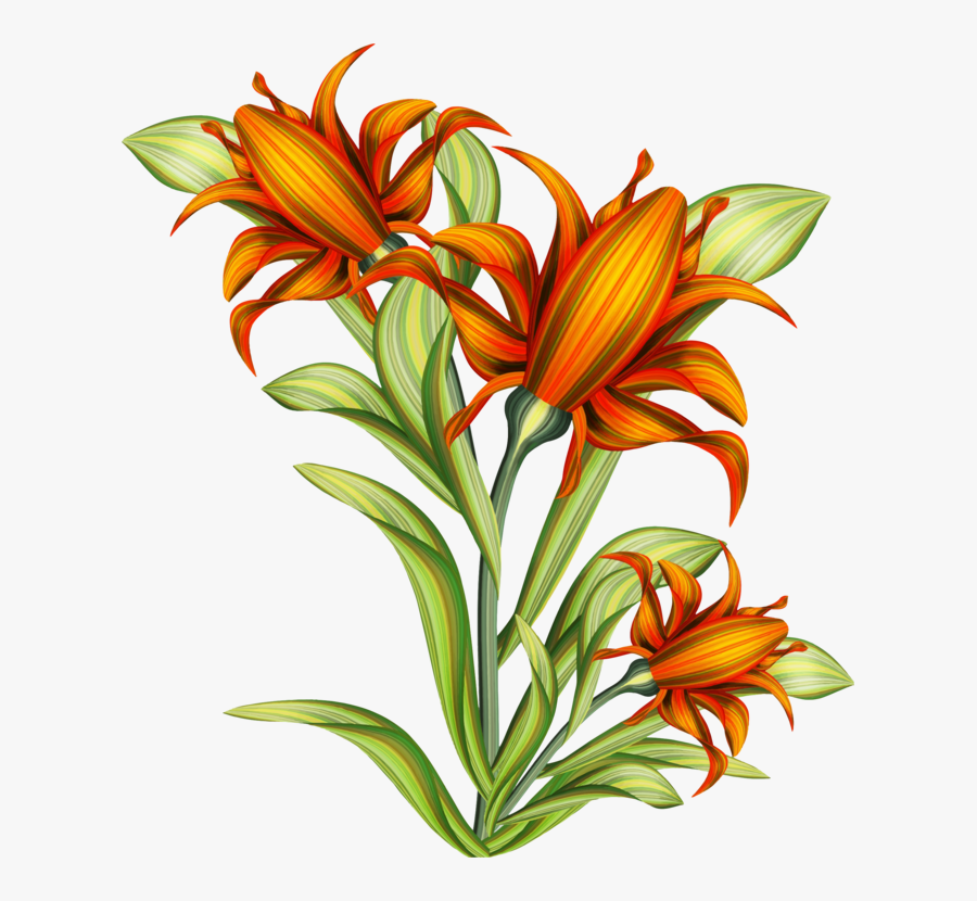 Arts Drawing Painting Flowers, Transparent Clipart
