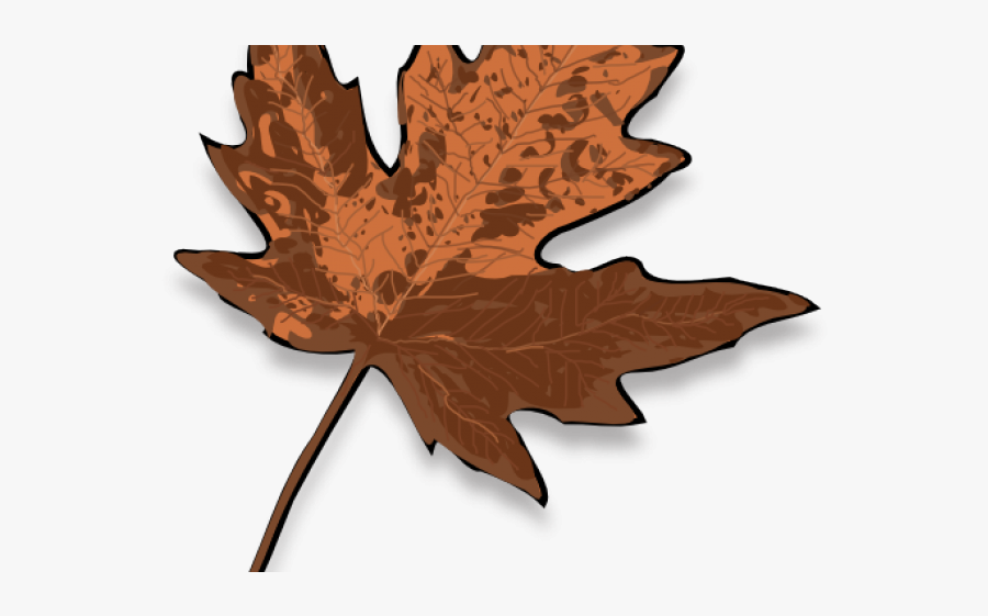 Maple Leaf Clipart Brown - Fall Leaves Clipart, Transparent Clipart