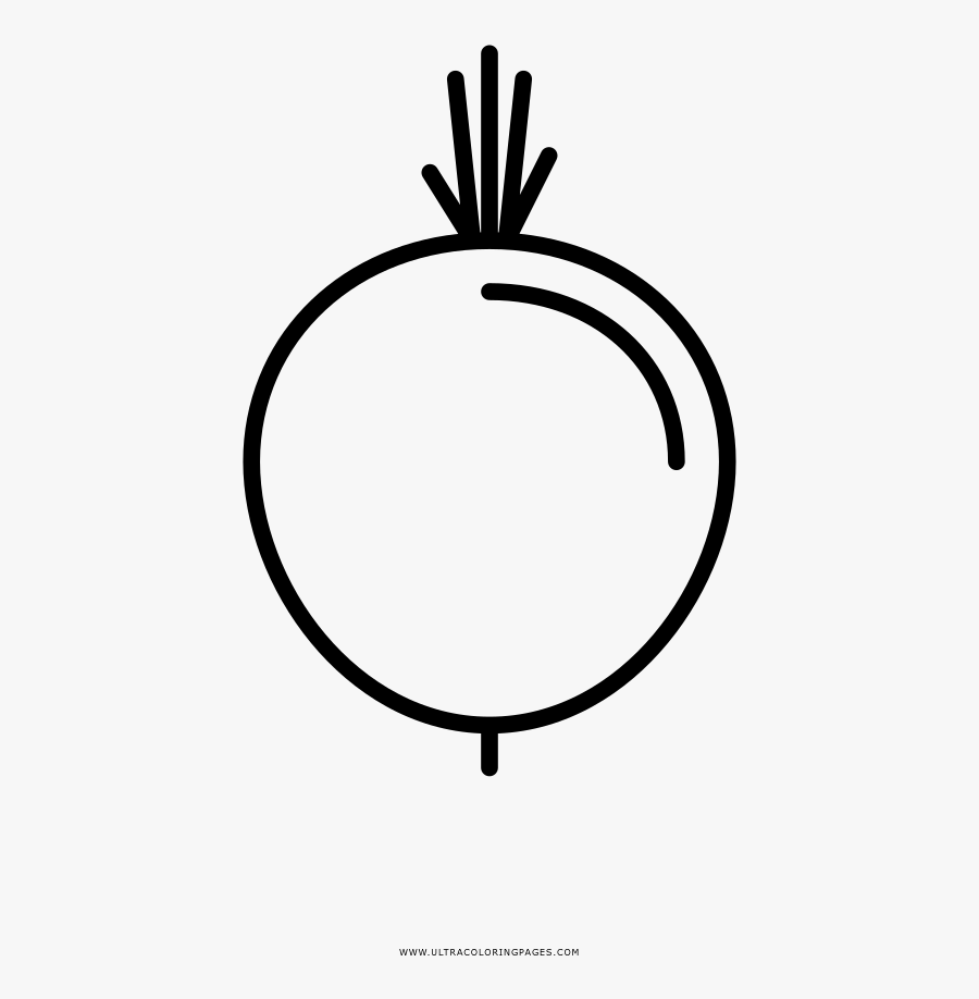 Beetroot Coloring Page - Circle, Transparent Clipart